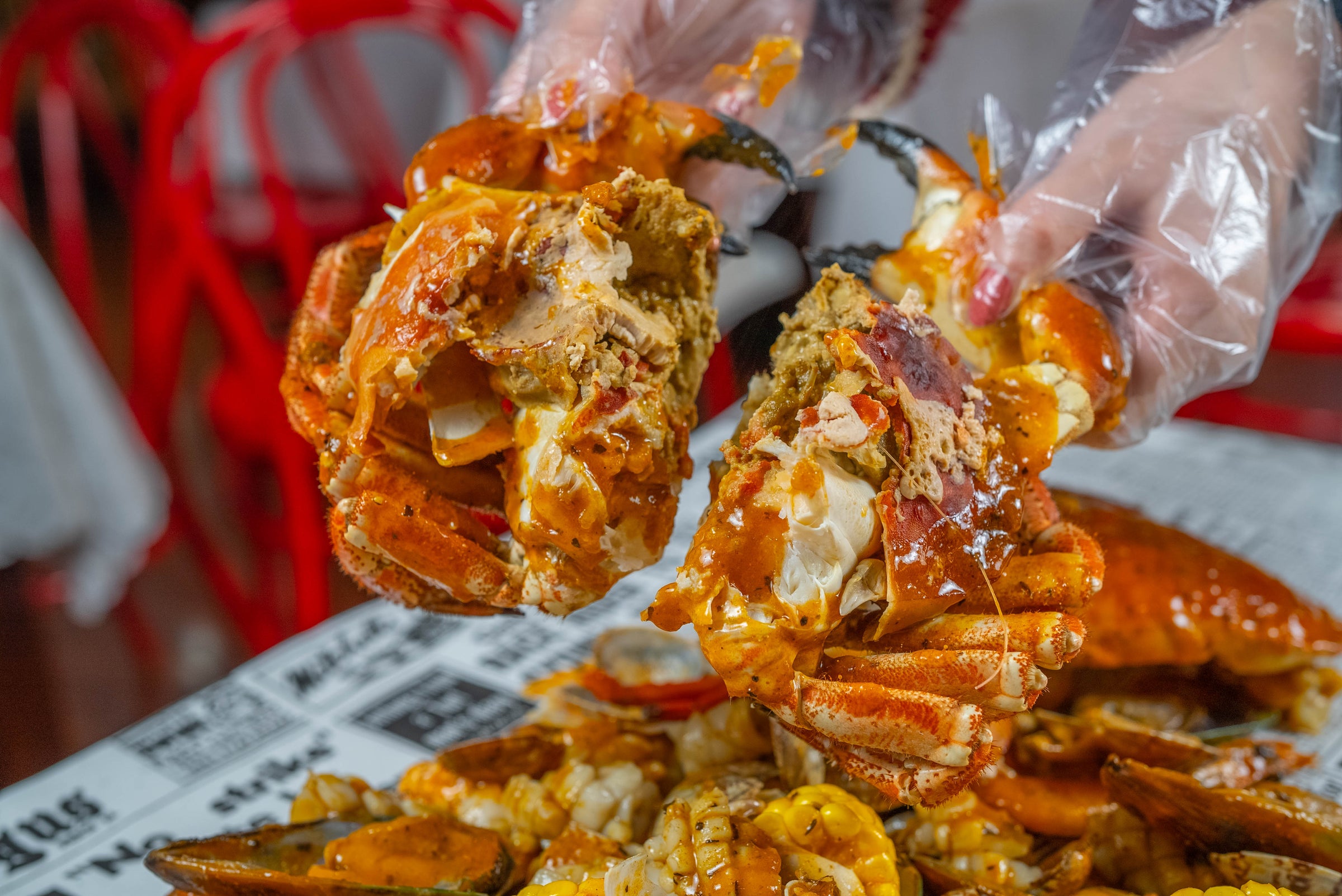 Brown Crab Combo 面包蟹套餐| Seafood Mingle